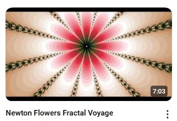 Newton Flowers Fractal Voyage